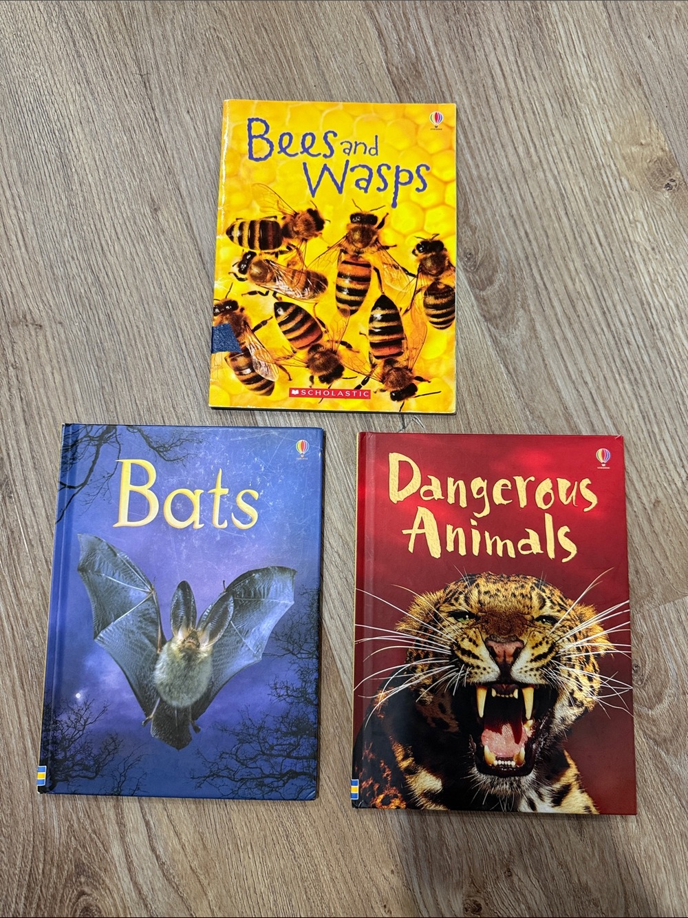 Usborne Kids’ Animal Book Set - Bats, Dangerous Animals and Bees and Wasps